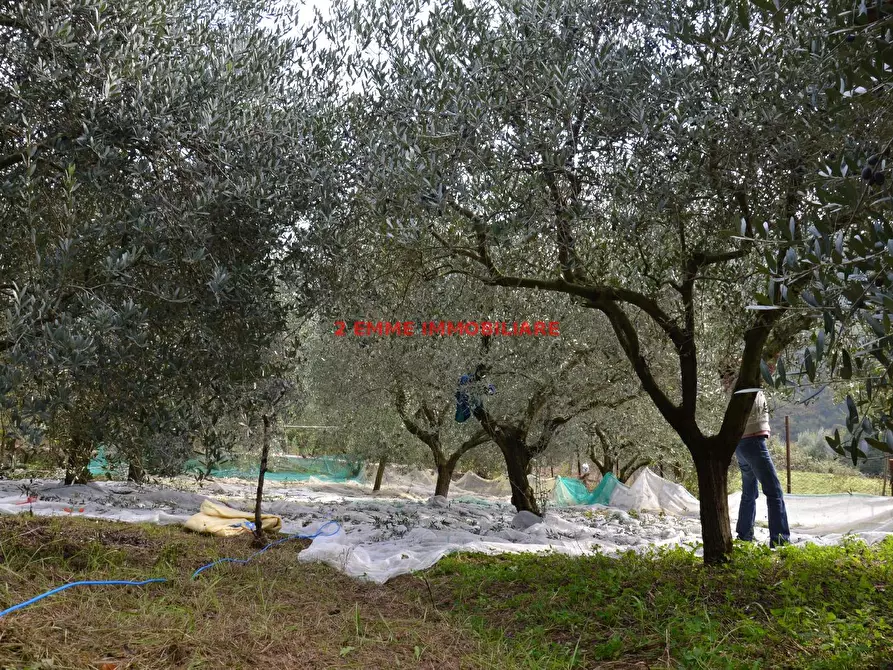 Immagine 5 di Casa colonica in vendita  in FRAZIONE MORIGNANO a Ascoli Piceno