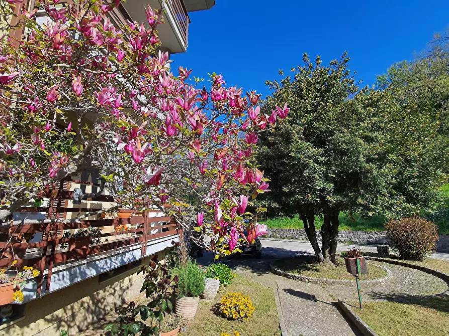 Immagine 2 di Appartamento in vendita  in VIA PIAGGE 318/A a Ascoli Piceno