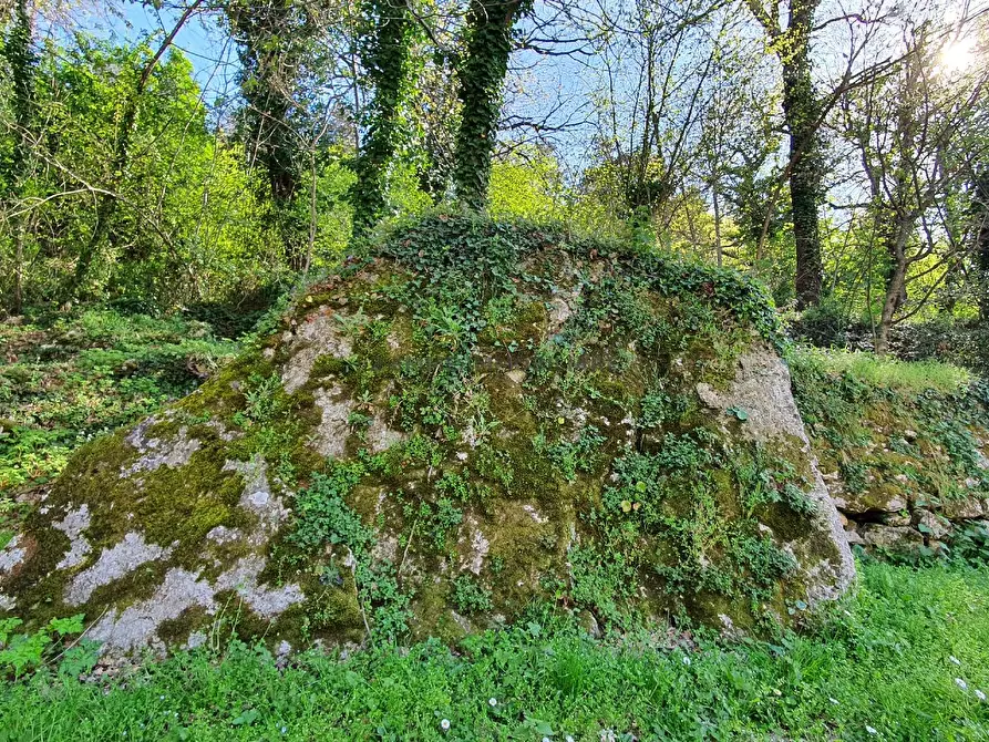 Immagine 29 di Appartamento in vendita  in VIA PIAGGE 318/A a Ascoli Piceno