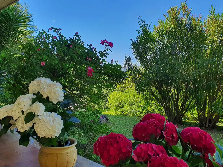 Immagine 12 di Villa in vendita  in FRAZIONE VALLI a Ascoli Piceno