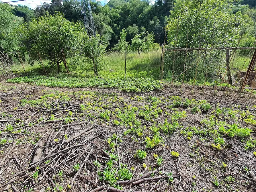 Immagine 17 di Terratetto in vendita  in VIA VENAROTTESE  a Venarotta