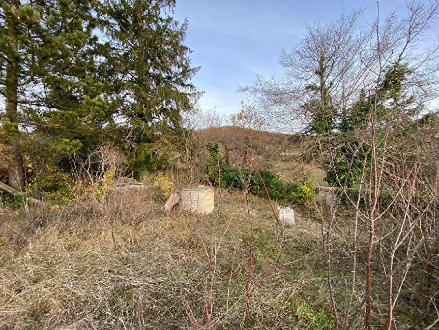 Immagine 5 di Rustico / casale in vendita  in FRAZIONE TUSEGGIA 8 a Camerino