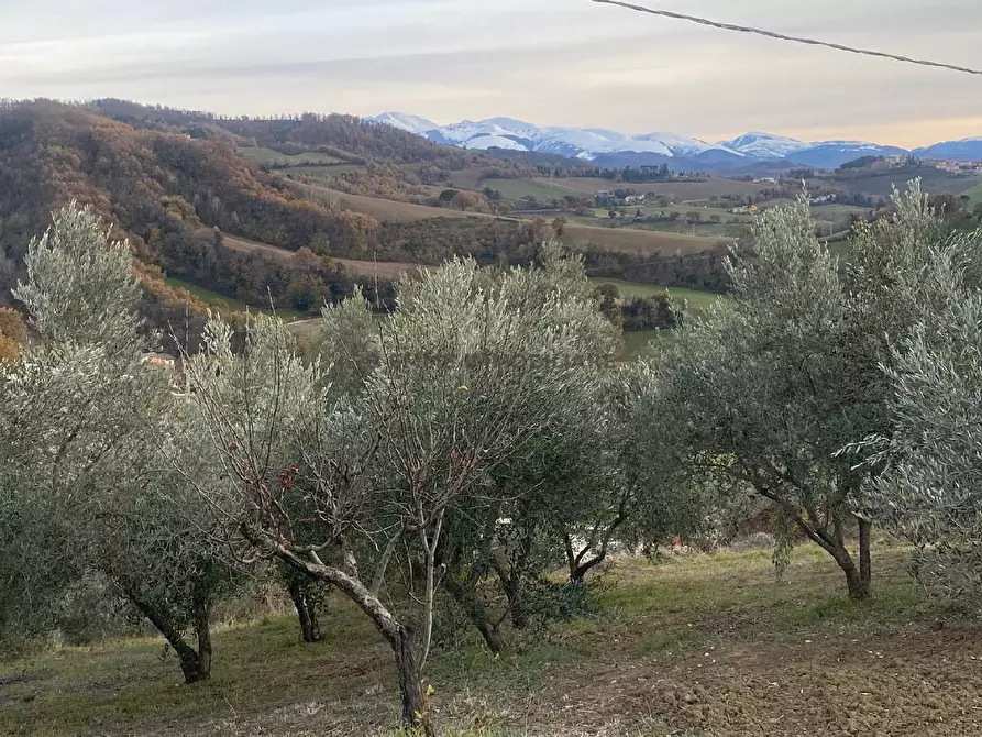Immagine 9 di Rustico / casale in vendita  in FRAZIONE TUSEGGIA 8 a Camerino