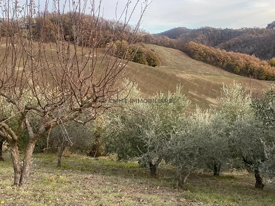 Immagine 11 di Rustico / casale in vendita  in FRAZIONE TUSEGGIA 8 a Camerino