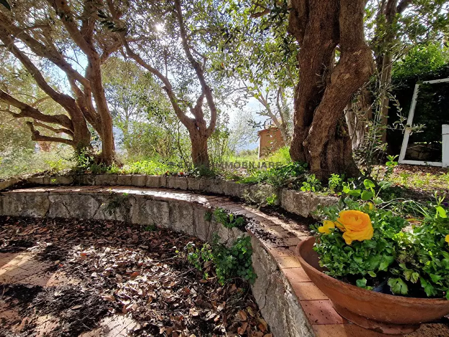 Immagine 2 di Villa in vendita  in VIA DELLE ZEPPELLE 9 a Ascoli Piceno