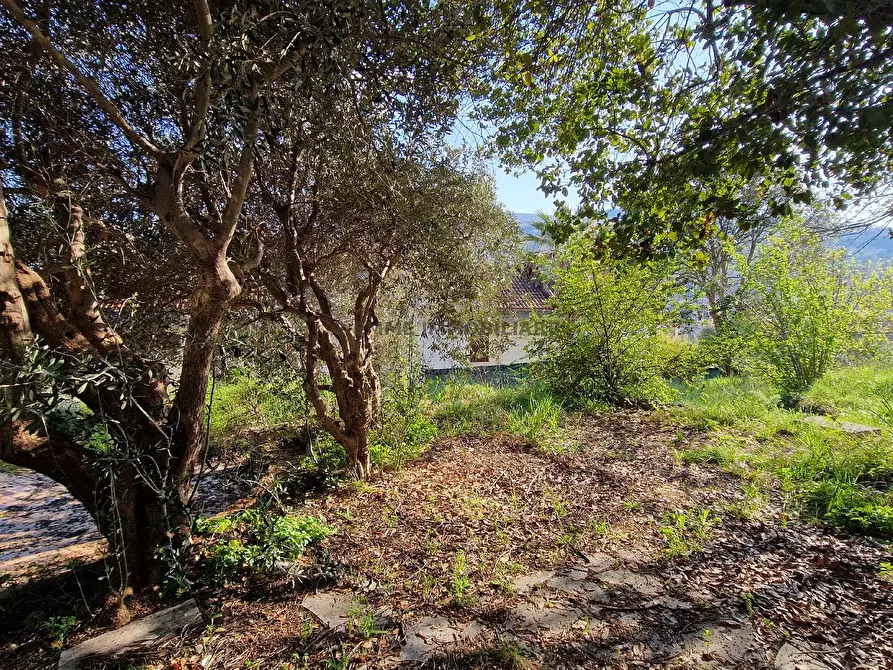 Immagine 30 di Villa in vendita  in VIA DELLE ZEPPELLE 9 a Ascoli Piceno