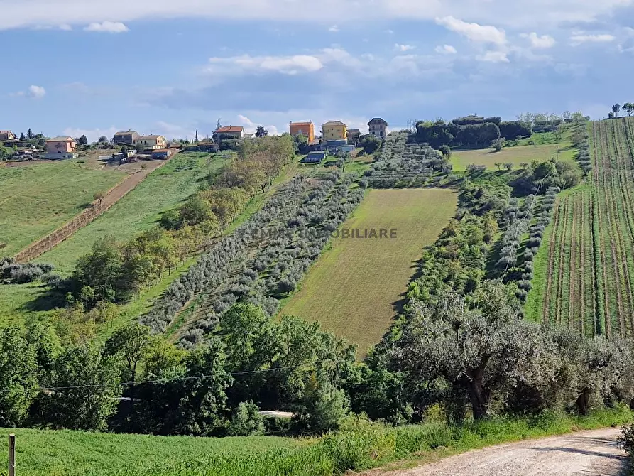 Immagine 42 di Casa indipendente in vendita  in CONTRADA COLLE APPESO 60 a Monteprandone