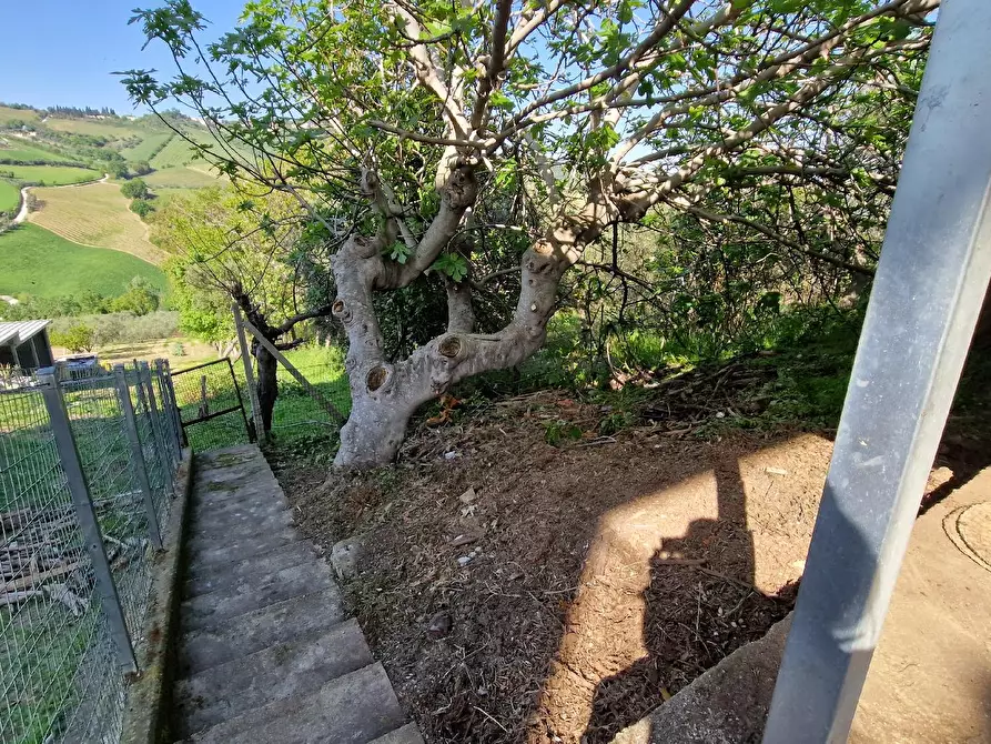 Immagine 44 di Casa indipendente in vendita  in CONTRADA COLLE APPESO 60 a Monteprandone