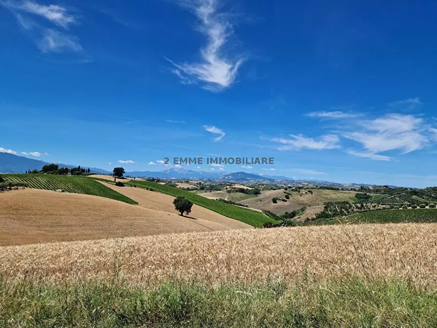Immagine 46 di Casa indipendente in vendita  in CONTRADA COLLE APPESO 60 a Monteprandone