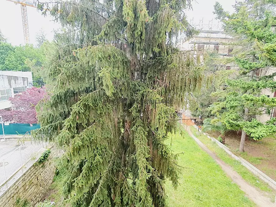 Immagine 5 di Appartamento in vendita  in VIALE MARCELLO FEDERICI 100 a Ascoli Piceno