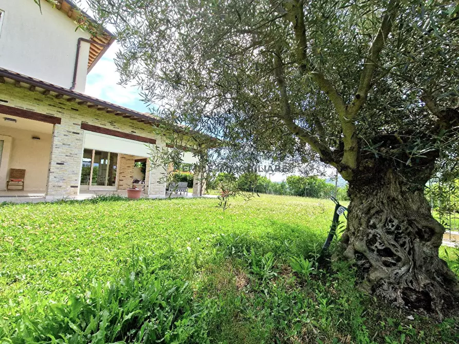 Immagine 31 di Villa in vendita  in FRAZIONE FONTE DI CAMPO N.6 a Ascoli Piceno