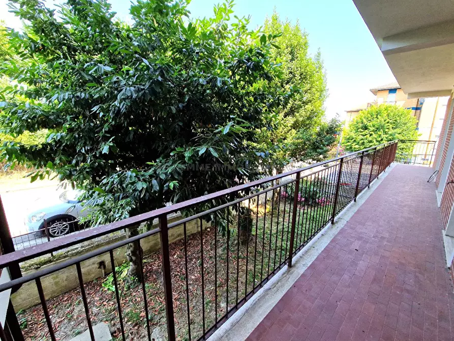 Immagine 17 di Appartamento in vendita  in VIA FRATELLI VOLPONI 2 a Ascoli Piceno