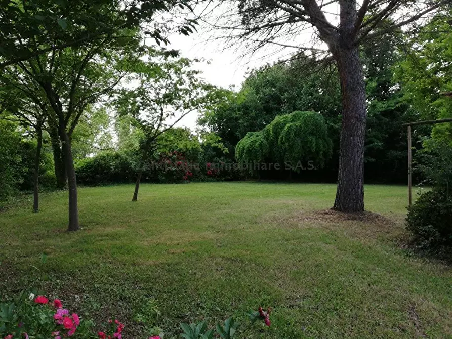 Immagine 3 di Terreno agricolo in vendita  in STRADA DEI CACCIATORI a Pesaro