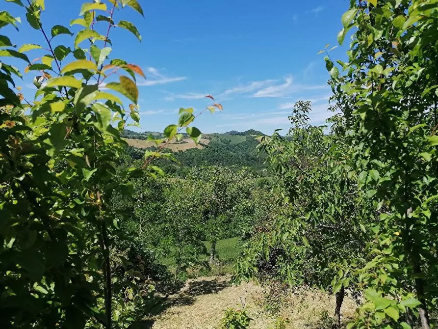 Immagine 8 di Casa indipendente in vendita  in LOGGE a Urbino