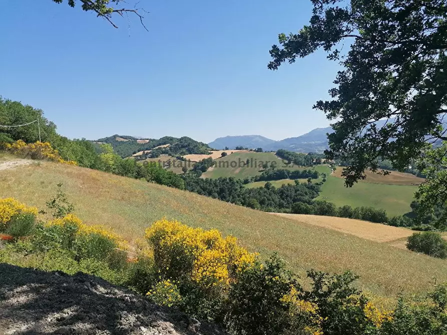 Immagine 6 di Casa indipendente in vendita  in VICINO CA'MADDALENA a Fermignano