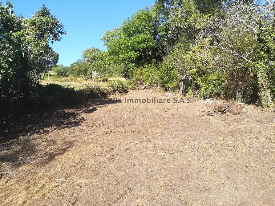 Immagine 5 di Rustico / casale in vendita  in MONTECOPIOLO a Carpegna