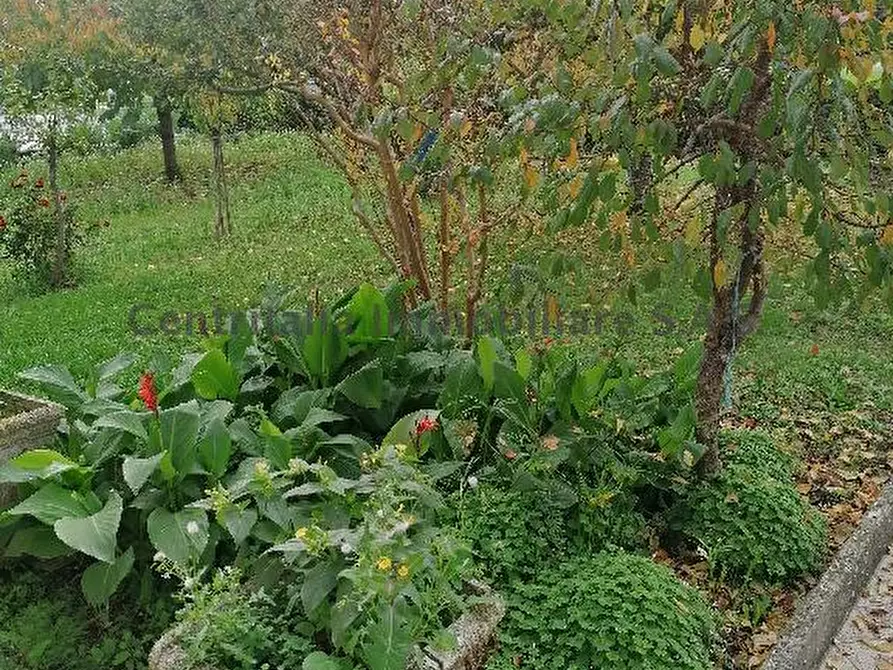 Immagine 6 di Appartamento in vendita  in VIA BENEDETTO CROCE 1 a Fermignano