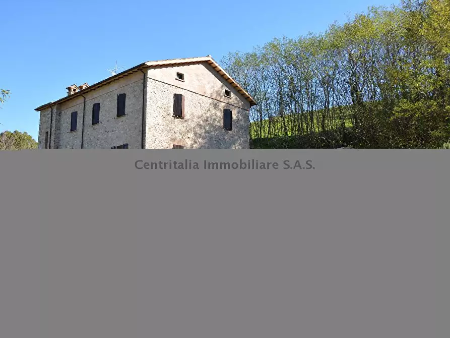 Immagine 3 di Casa indipendente in vendita  a Macerata Feltria