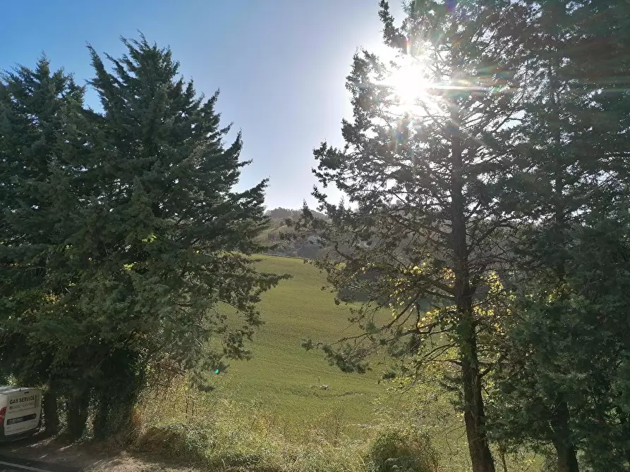 Immagine 7 di Casa indipendente in vendita  in GADANA a Urbino