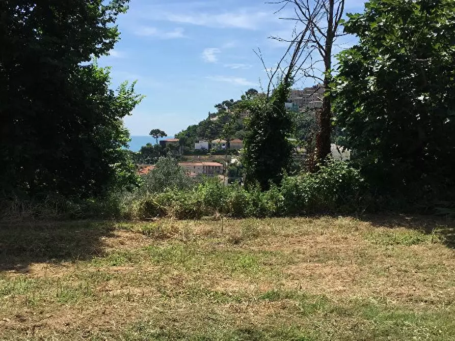Immagine 2 di Terreno in vendita  a Cupra Marittima
