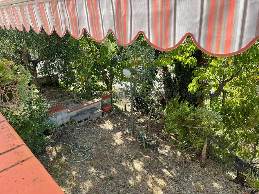 Immagine 13 di Casa indipendente in vendita  in VIA BOCCONI 7 a Cupra Marittima