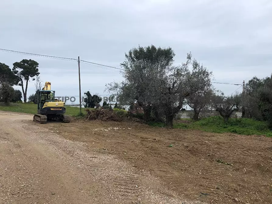 Immagine 6 di Terreno in vendita  in VIA ADRIATICA  SUD a Cupra Marittima