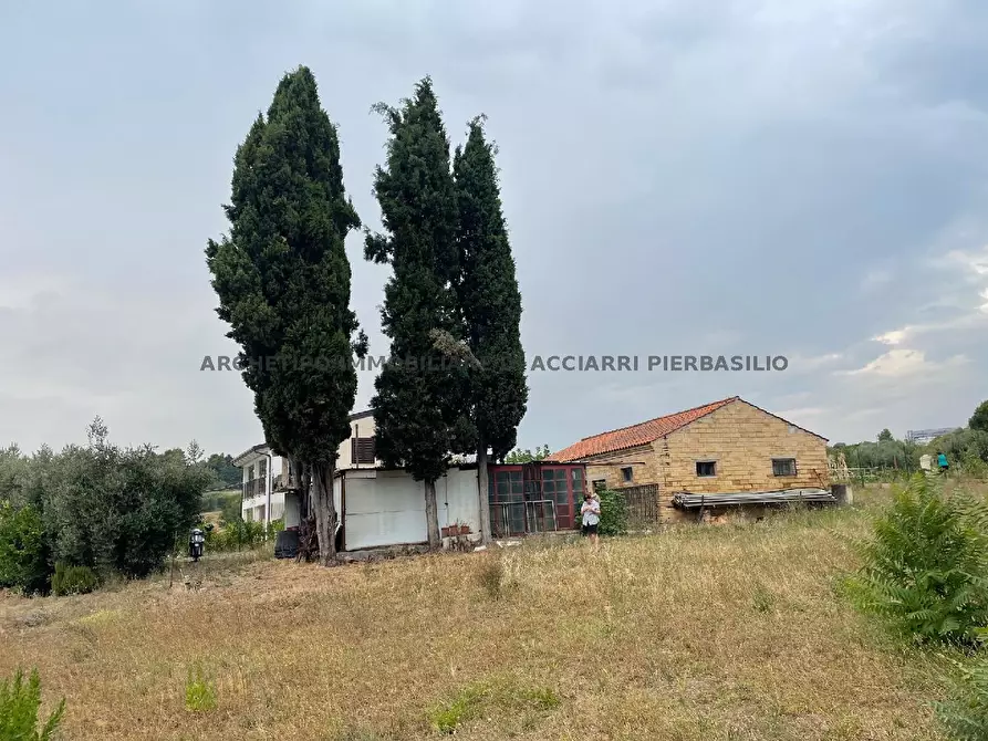 Immagine 2 di Terreno in vendita  in CONTRADA BOCCABIANCA a Cupra Marittima