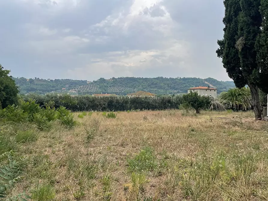 Immagine 4 di Terreno in vendita  in CONTRADA BOCCABIANCA a Cupra Marittima