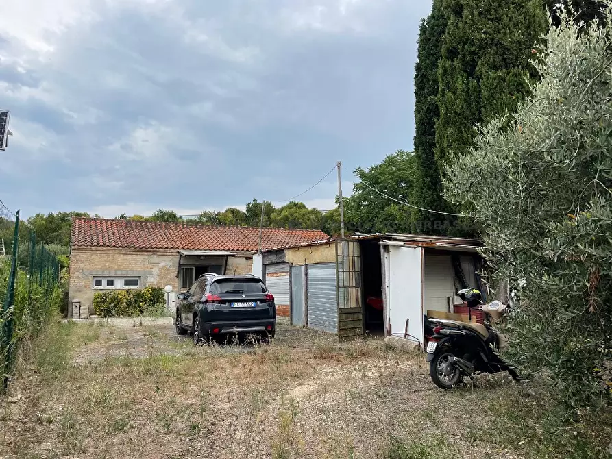 Immagine 6 di Terreno in vendita  in CONTRADA BOCCABIANCA a Cupra Marittima