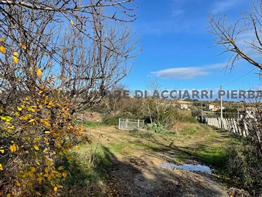Immagine 1 di Terreno in vendita  in VIA SANTI a Massignano