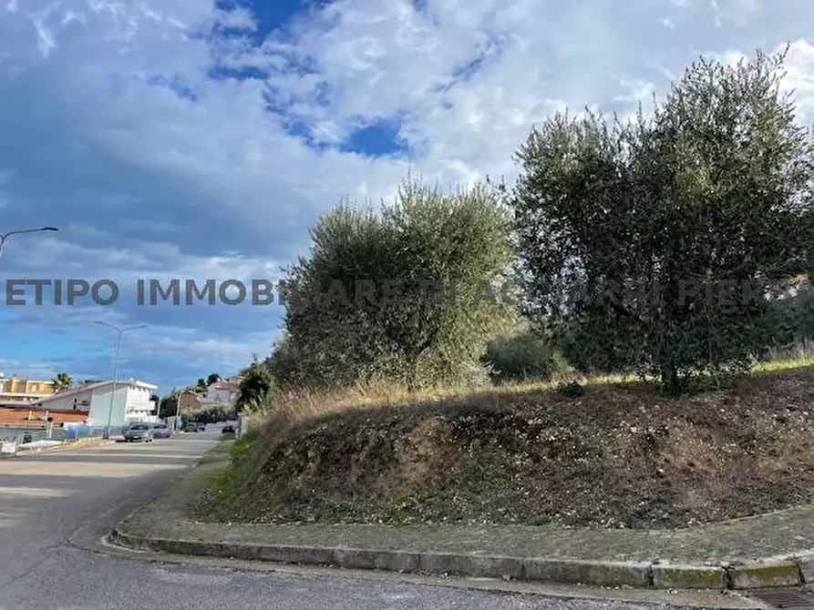 Immagine 2 di Terreno in vendita  in VIA ABRUZZI a Cupra Marittima