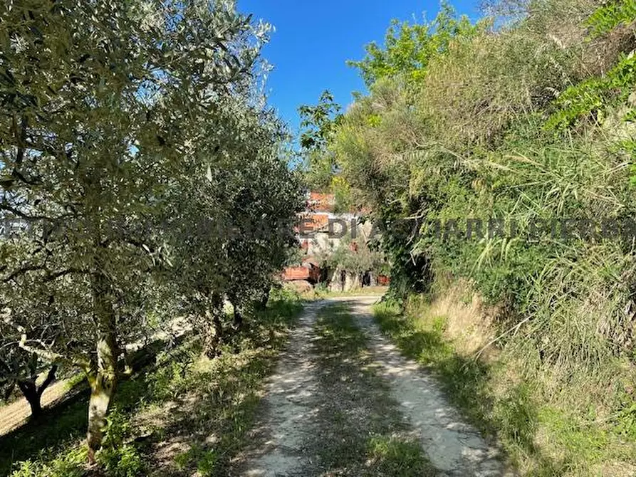Immagine 12 di Casa indipendente in vendita  in VIA  S. ANDREA 14 a Cupra Marittima