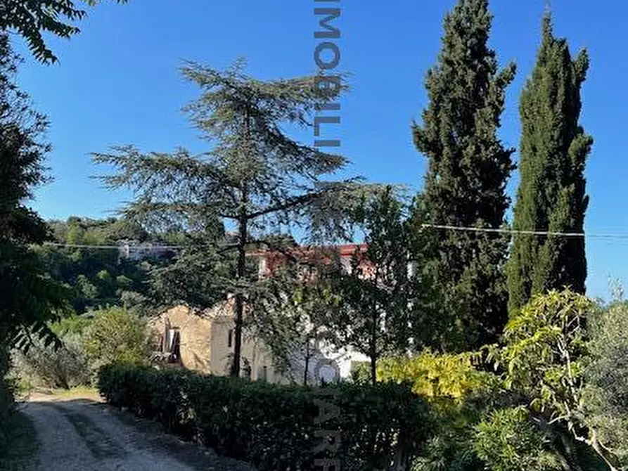 Immagine 15 di Casa indipendente in vendita  in VIA  S. ANDREA 14 a Cupra Marittima