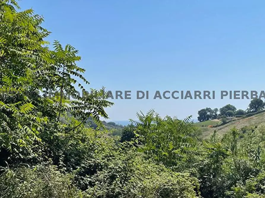 Immagine 5 di Rustico / casale in vendita  in CONTRADA MARINA N. 7 a Campofilone