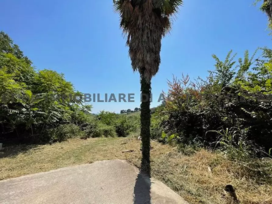 Immagine 6 di Rustico / casale in vendita  in CONTRADA MARINA N. 7 a Campofilone