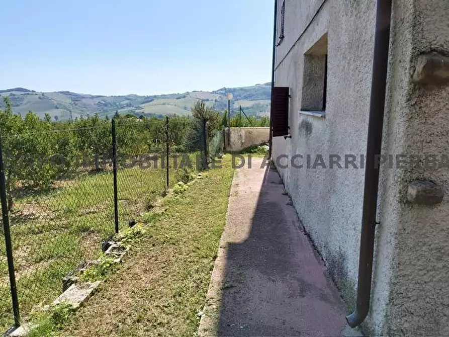Immagine 17 di Rustico / casale in vendita  in CONTRADA  ASO 51 a Monte Rinaldo