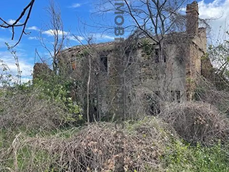 Immagine 4 di Rustico / casale in vendita  in CONTRADA MENOCCHIA a Montefiore Dell'aso
