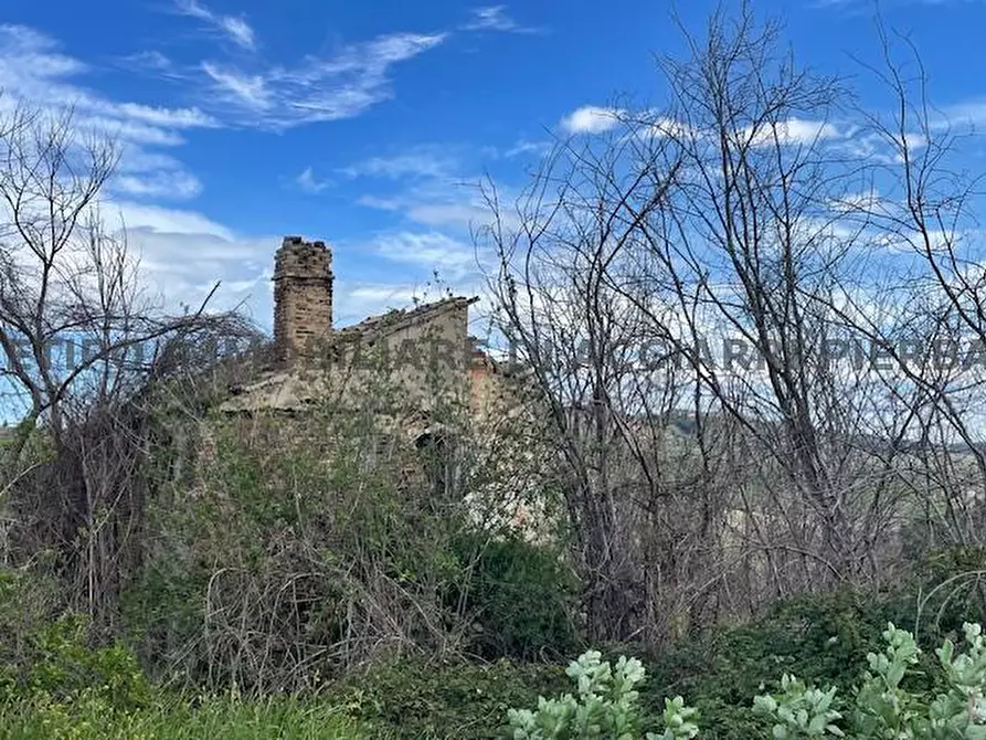 Immagine 5 di Rustico / casale in vendita  in CONTRADA MENOCCHIA a Montefiore Dell'aso