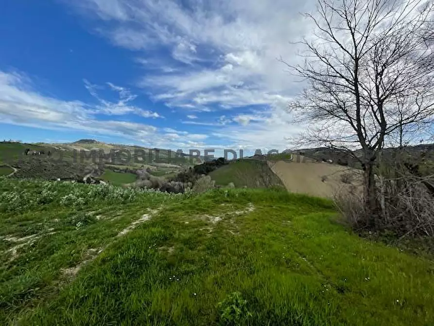 Immagine 8 di Rustico / casale in vendita  in CONTRADA MENOCCHIA a Montefiore Dell'aso