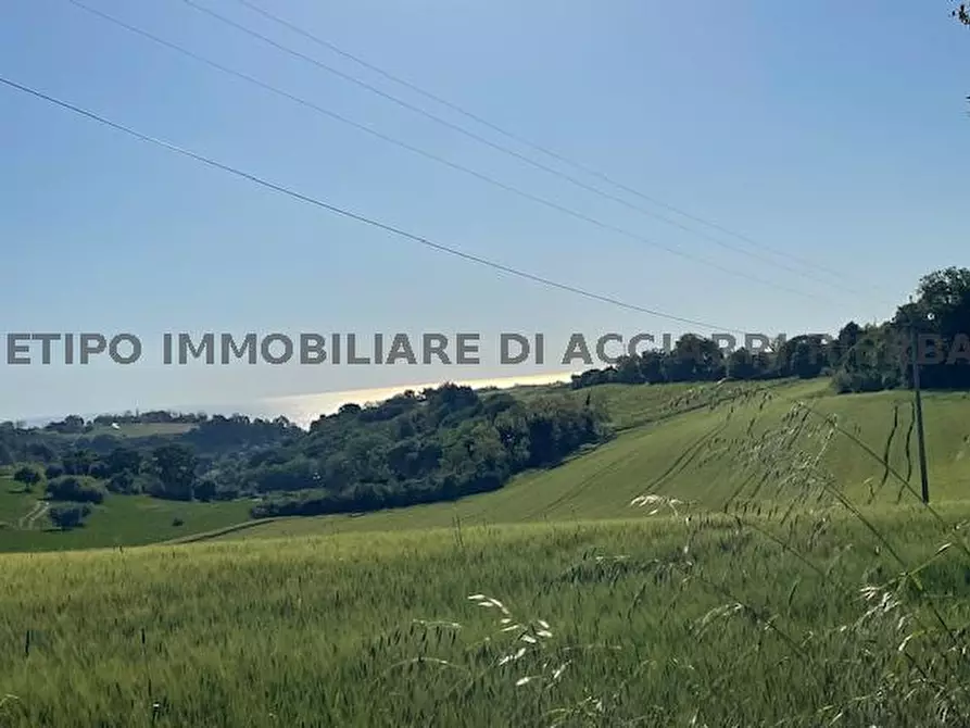 Immagine 7 di Rustico / casale in vendita  in ZONA MARINA DI MASSIGNANO a Massignano