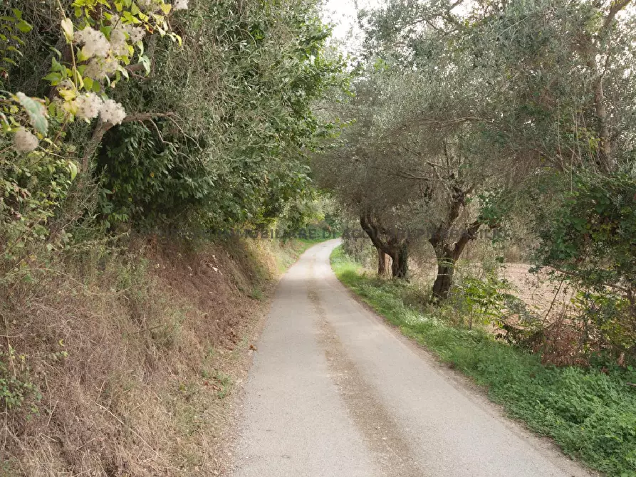Immagine 8 di Rustico / casale in vendita  in PIANE SANTI a Massignano