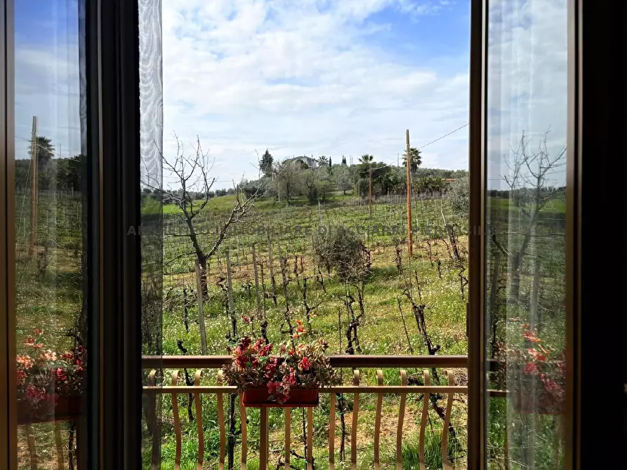 Immagine 14 di Rustico / casale in vendita  in CONTRADA MONTECANTINO 13 a Massignano