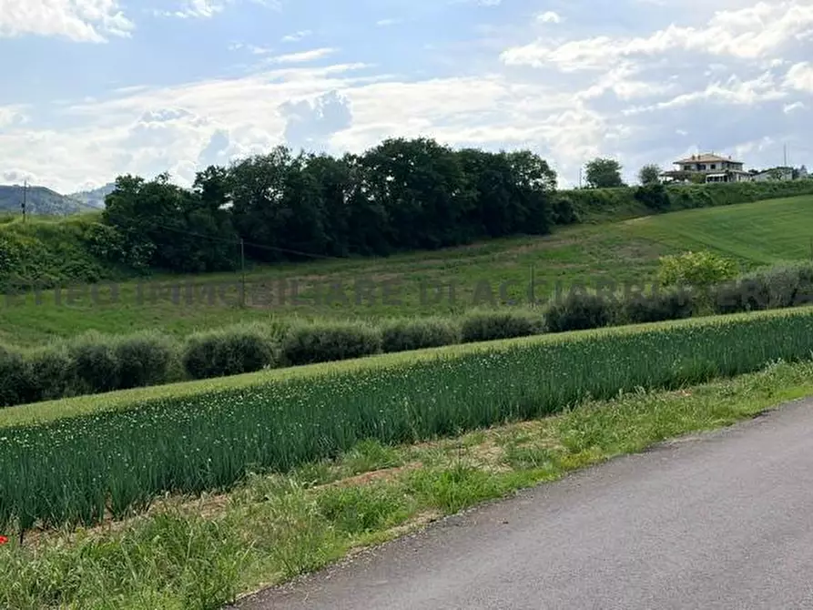 Immagine 3 di Terreno in vendita  in VIA BOCCABIANCA a Cupra Marittima