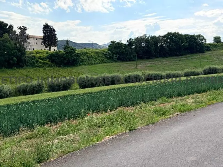 Immagine 4 di Terreno in vendita  in VIA BOCCABIANCA a Cupra Marittima