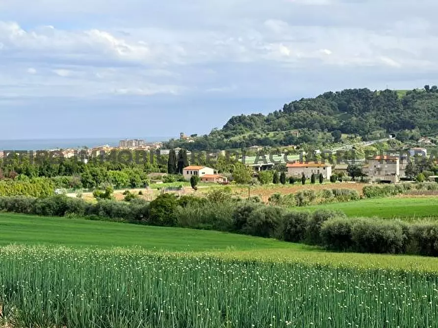 Immagine 5 di Terreno in vendita  in VIA BOCCABIANCA a Cupra Marittima