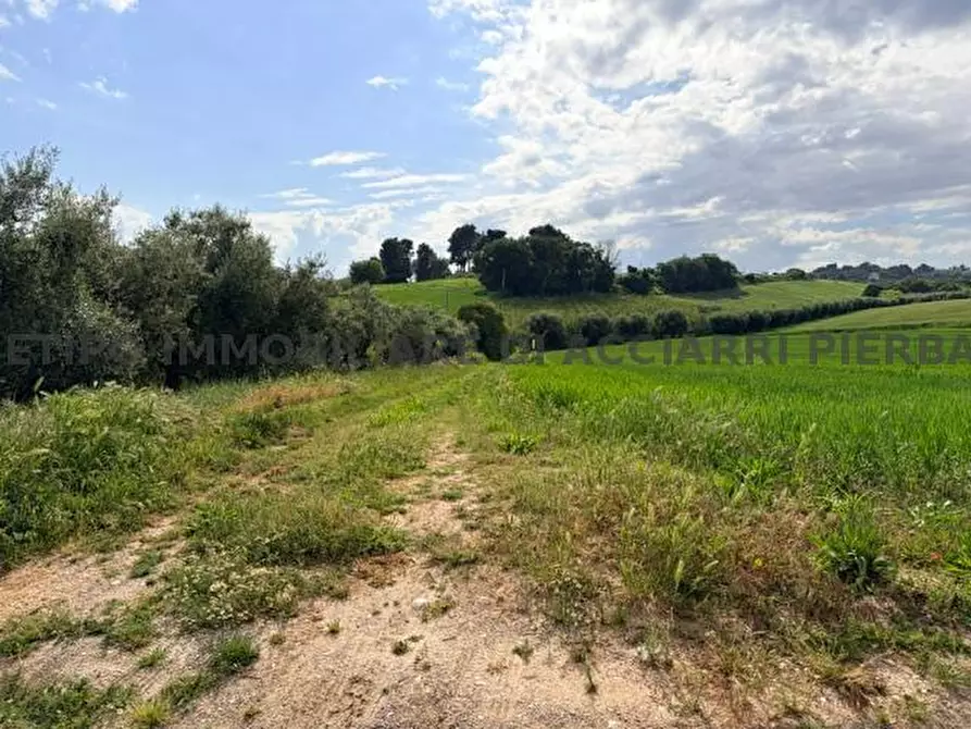 Immagine 6 di Terreno in vendita  in VIA BOCCABIANCA a Cupra Marittima