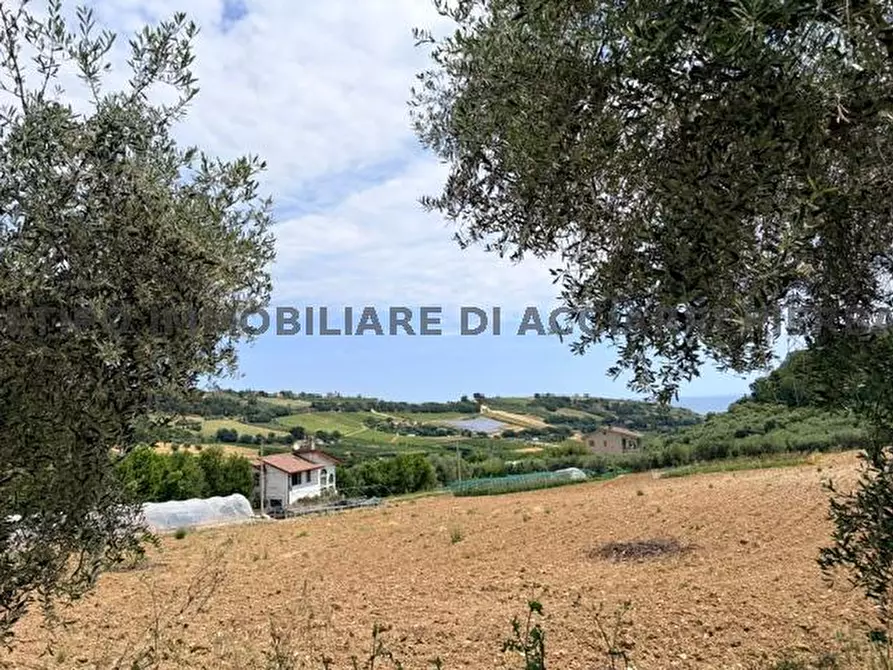 Immagine 5 di Rustico / casale in vendita  in CONTRADA  MONTECAMAURO a Campofilone