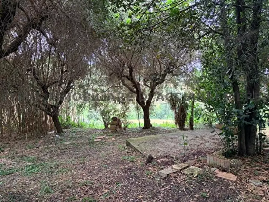 Immagine 14 di Rustico / casale in vendita  in CONTRADA  MONTECAMAURO a Campofilone