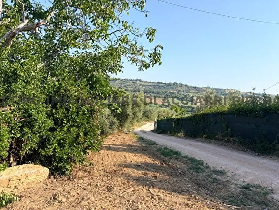 Immagine 6 di Rustico / casale in vendita  in CONTRADA PIANE SANTI a Massignano