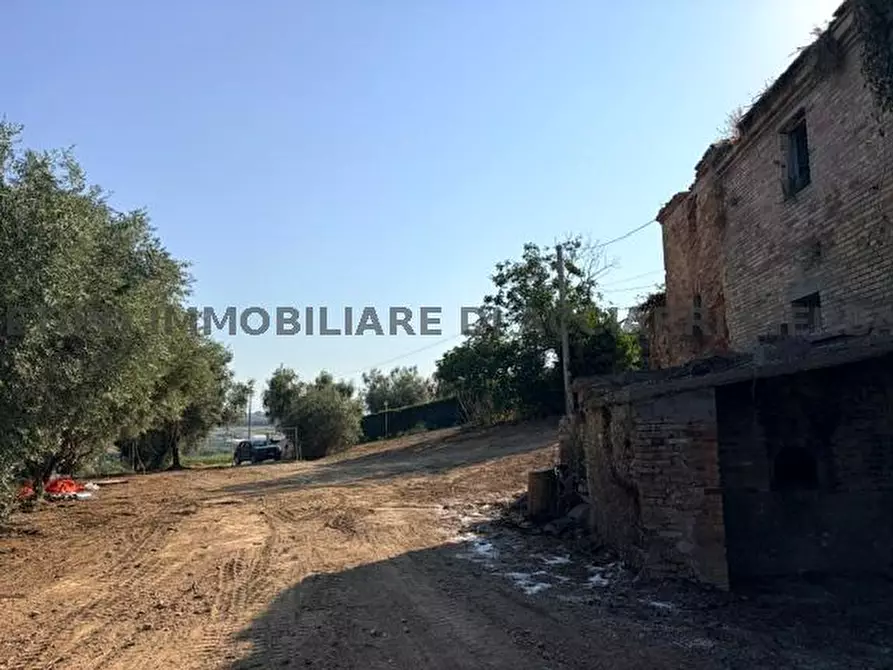 Immagine 8 di Rustico / casale in vendita  in CONTRADA PIANE SANTI a Massignano